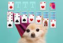 Solitaire+ screenshot 9