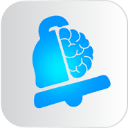 Brains 'N Bells - Full version