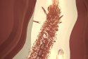 's a Scorcher screenshot 3