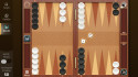 Smart Backgammon screenshot 1