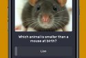 Trivia only. Free quiz game: QuizzLand screenshot 1