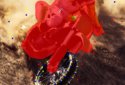 Zoetropic (free) - Photo in motion screenshot 6