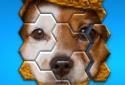 Hexa Jigsaw Puzzle™ screenshot 4