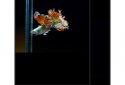 1Gallery - Photo Gallery & Vault (ENCRYPTED) screenshot 4