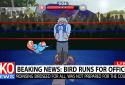 Election Year Knockout screenshot 2