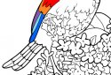 Coloring Book+ screenshot 6