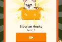 Puppy Town screenshot 3