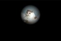 Becker cat's adventures screenshot 2