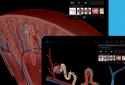 Human Anatomy Atlas 2026 screenshot 2
