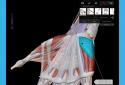 Human Anatomy Atlas 2026 screenshot 3