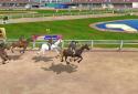 3 Athletics: Summer Sports screenshot 3