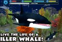 Orca Simulator screenshot 1