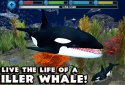 Orca Simulator screenshot 6