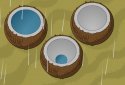 Johnny's Island screenshot 3