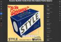 Adobe Illustrator: Graphic Art screenshot 2