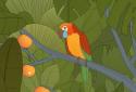 Bird Alone screenshot 6