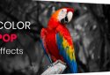 Color Pop effects photo editor screenshot 1