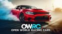 OWRC: Open World Racing screenshot 1