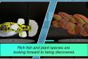 Aquarium Designer screenshot 4
