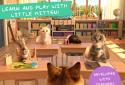 Little Kitten School & Friends screenshot 2