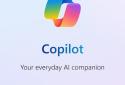 ​​Microsoft Copilot screenshot 1