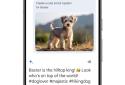 Google Gemini screenshot 5 Google Gemini screenshot 5