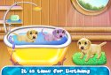 Labrador Quadruplets Caring screenshot 2