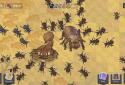 Ant Colony: Wild Forest screenshot 2
