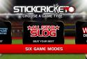 Stick Cricket Classic screenshot 4