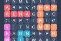 Word Search - Evolution Puzzle screenshot 4