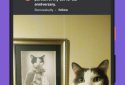 Imgur: Funny Memes & GIF Maker screenshot 5