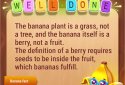 Colorwood Words: Rompecabezas screenshot 6