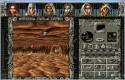 Ambermoon screenshot 6