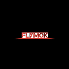 Flymok