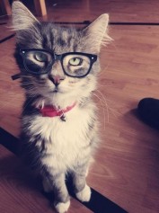 buranguloff.timur.mail.ru