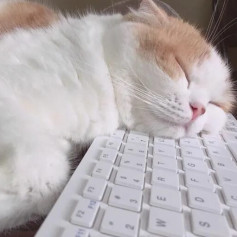 Ленивый хрен