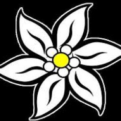 Альона Островська