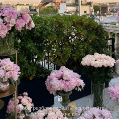 Артем Александрович