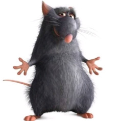 DomashniyPryanikNaKefire