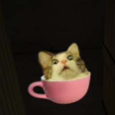 Нямного тупой кот