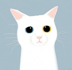 minecraft14042004@gmail.com