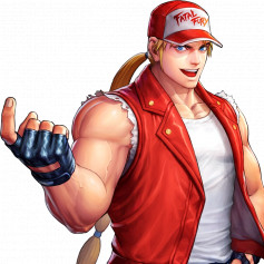 mrTerryBogard