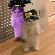 Zellanit